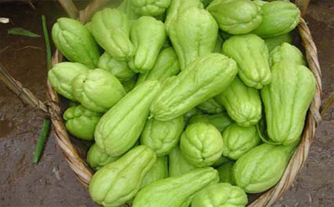 蔬菜配送